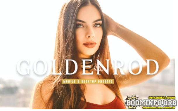 [Elements.Envato] Goldenrod Mobile & Desktop Light_0.png